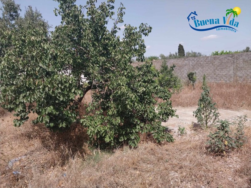 Vente Terrain Constructible-5