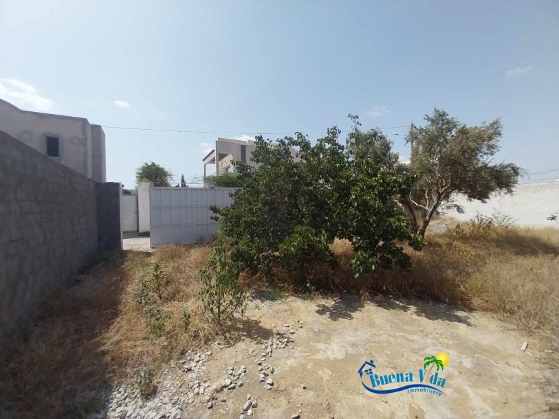 Vente Terrain Constructible-3