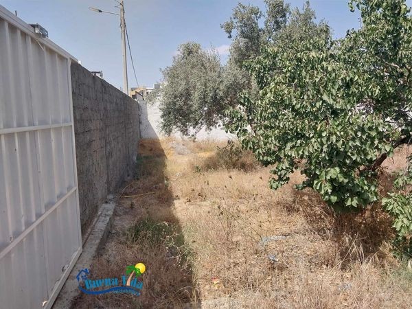 Vente Terrain Constructible-1
