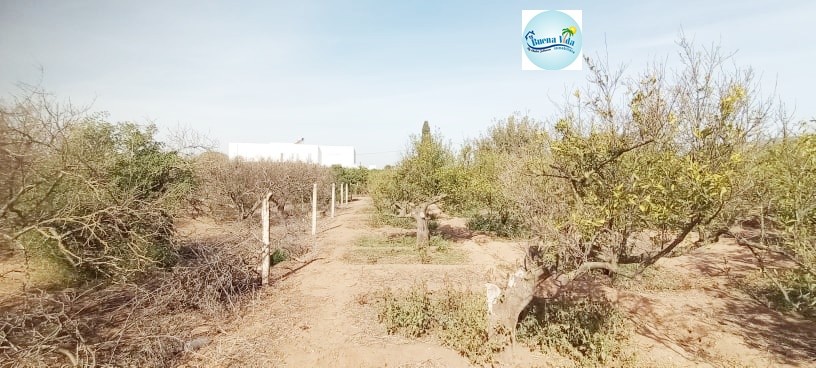 Vente Terrain Constructible Hammamet-4