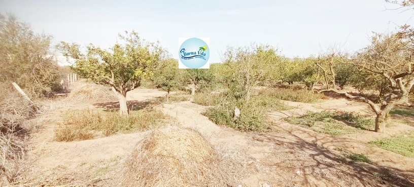 Vente Terrain Constructible Hammamet-2
